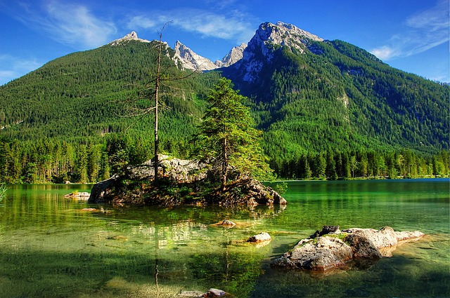 足总杯第三轮抽签：曼联对阵布莱顿，热刺大战维拉