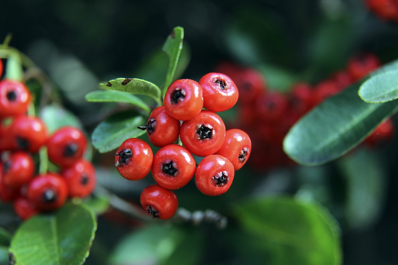 錘百鍊才能 錘百鍊才能