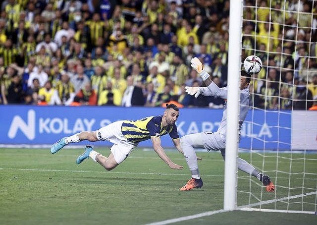 球隊的一致 球隊的一致