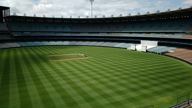 的潜力和发 的潜力和发