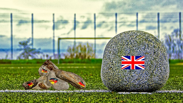 这一决定不 这一决定不